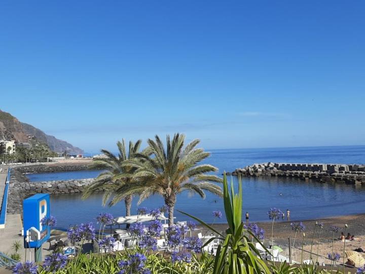 Casa Ventura Villa Arco da Calheta  Eksteriør billede