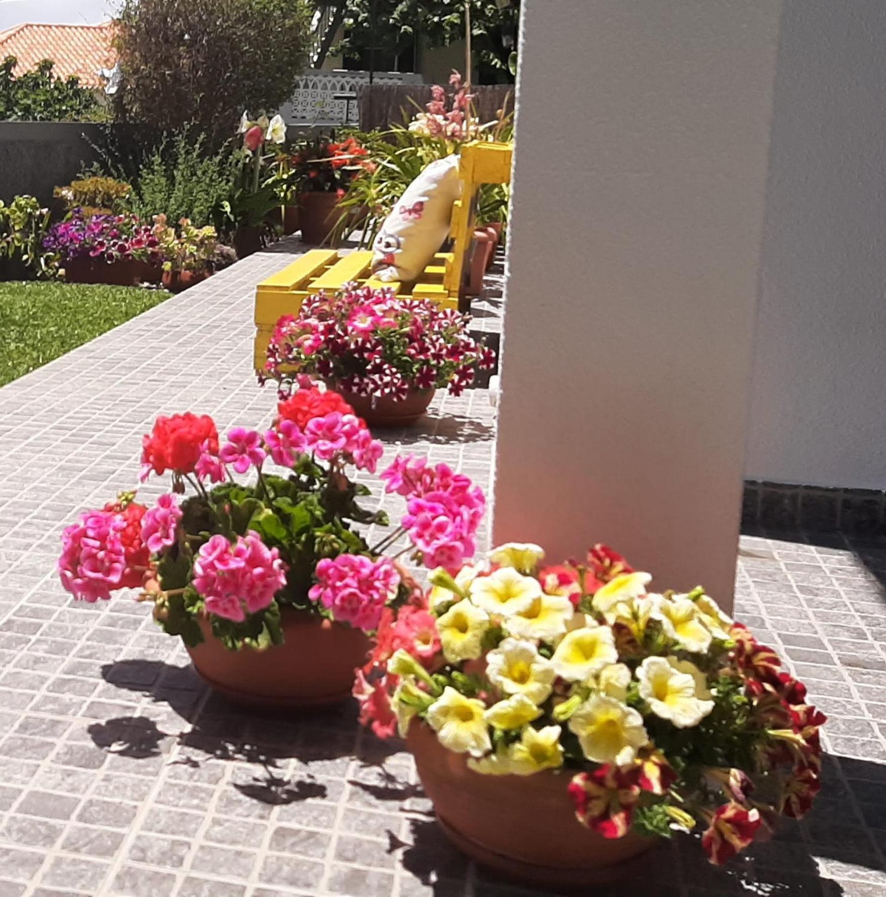Casa Ventura Villa Arco da Calheta  Eksteriør billede